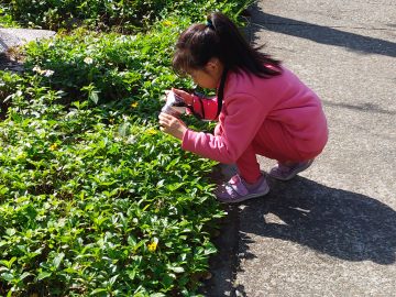 【自學專案課】三峽自然景觀地圖（2）認識家鄉和自然景觀