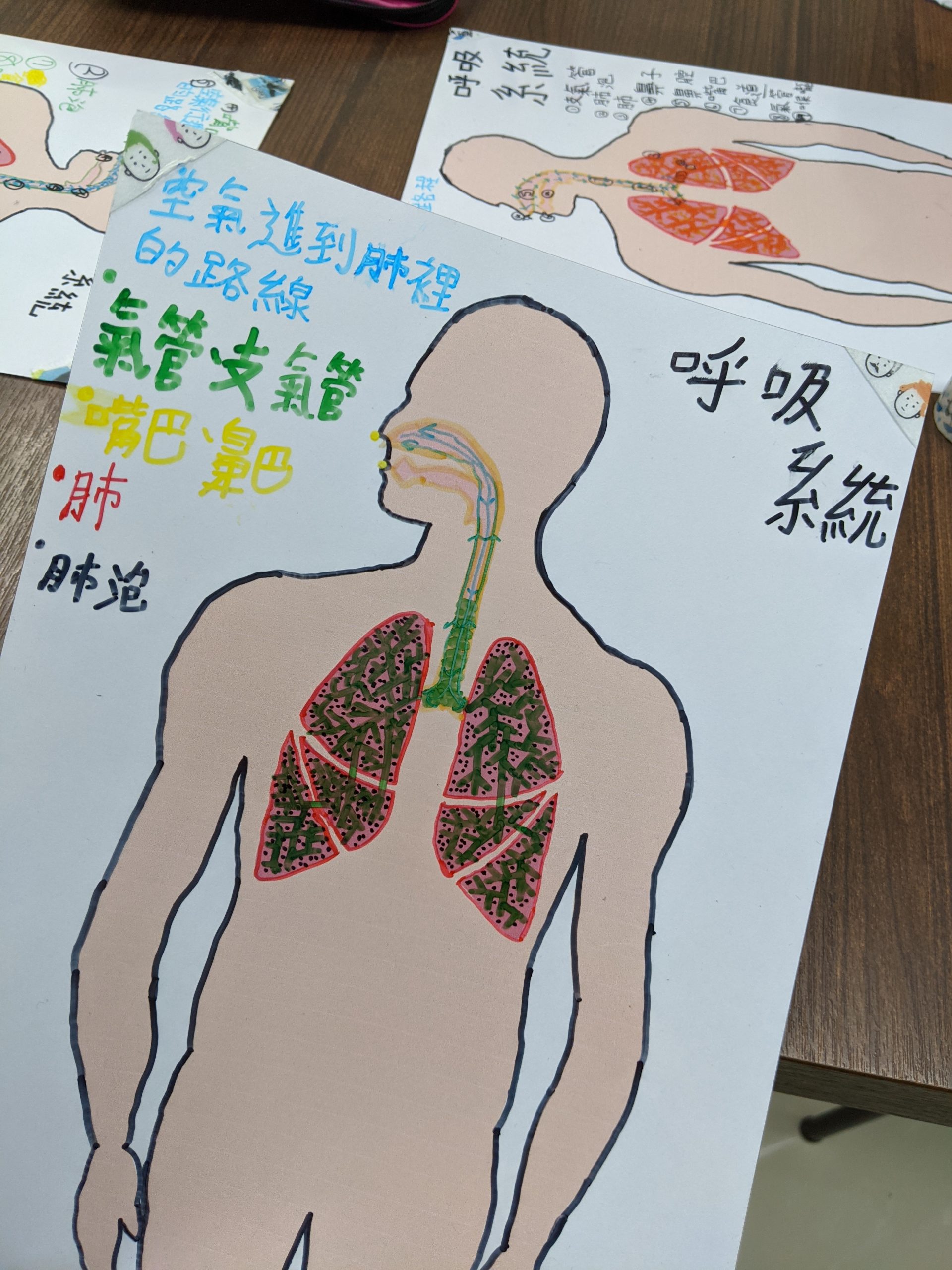 【2021 Spring-W2-2 自學專案（進階）】我身體中的呼吸系統