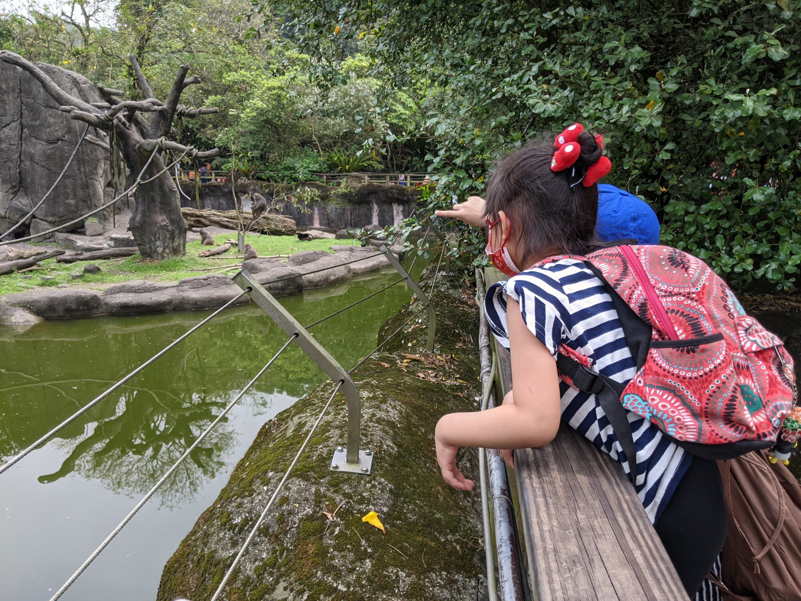 【2021 Spring-W5-1 自學專案】生活課－到動物園觀察